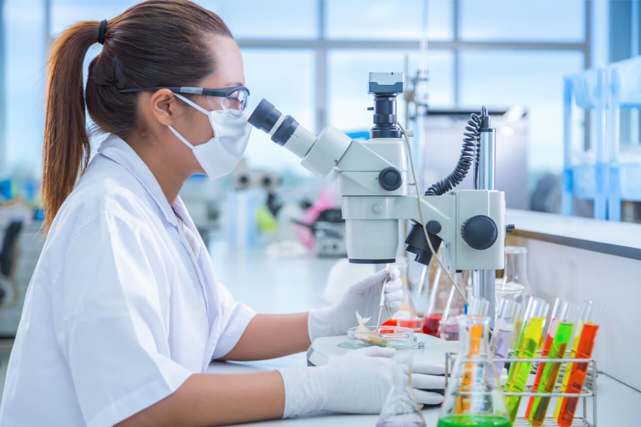 Scientist microsope