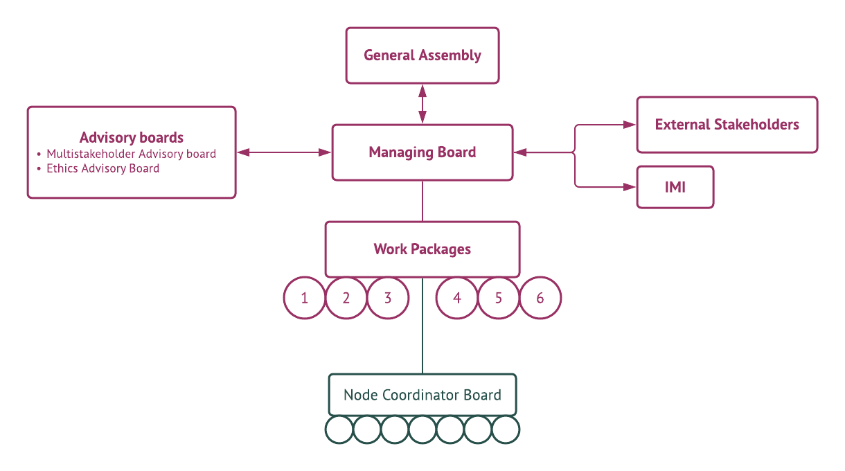 Multi-layered Governance structure of BIGPICTURE