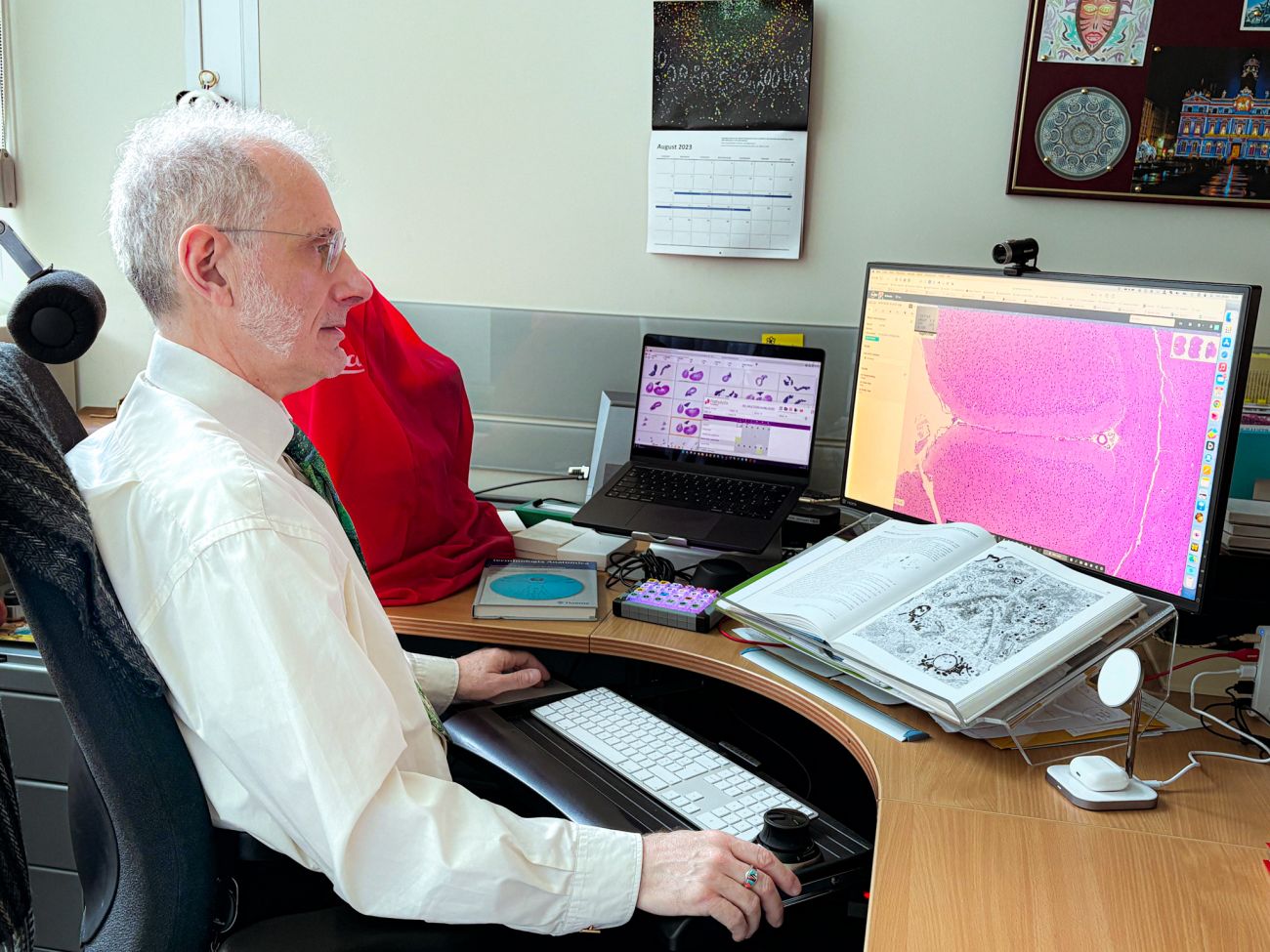 Erio Barale-Thomas at work