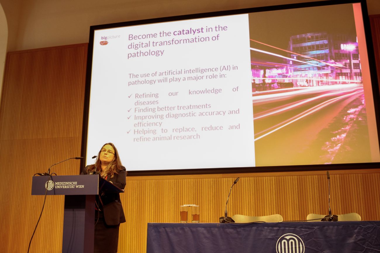 Julie presenting at the Annual Meeting