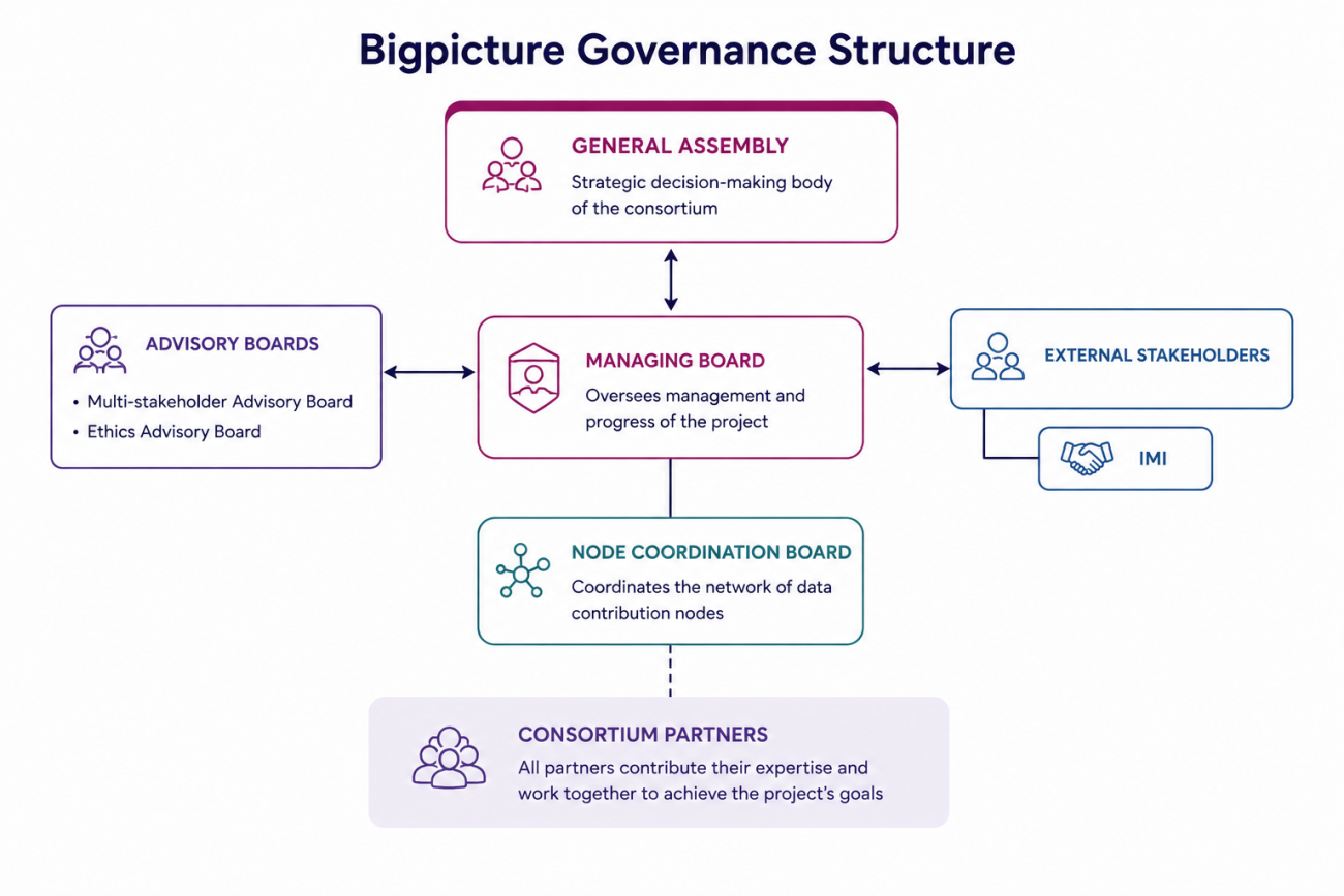 Governance bigpicture diagram