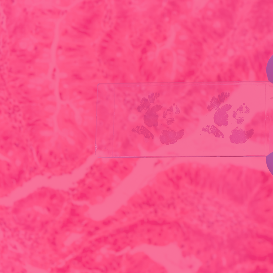Pink background buttons