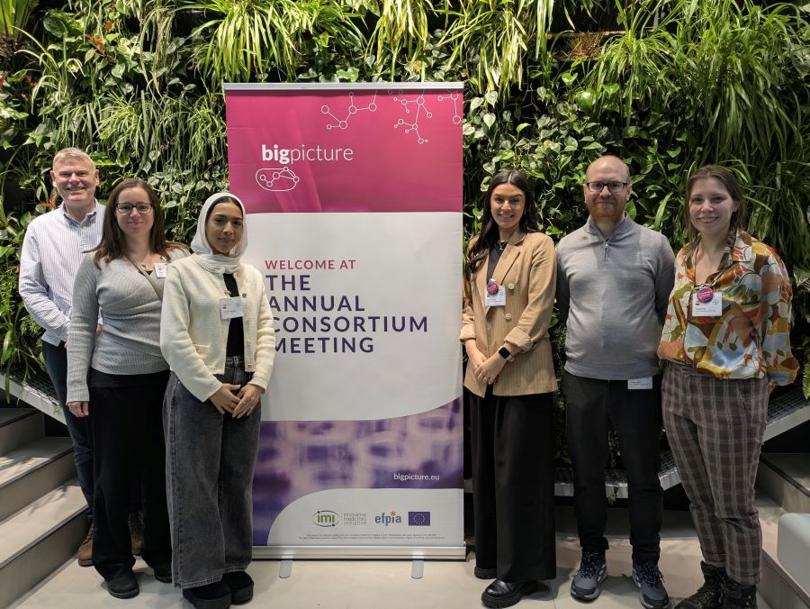 NPIC NHS team at Annual Meeting Bigpicture